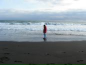 Roman Alexeevsky фотография #33 (источник - https://vk.com/id1388199)