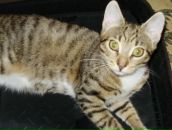 Марія Бойчук фотография #2 (источник - https://vk.com/id79162500)