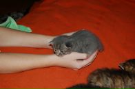 Кіріл Петрук фотография #34 (источник - https://vk.com/id2620559)