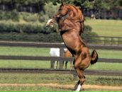 Фотография Роенко Ильи