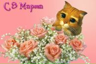 Фотография Марченко Александра