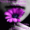 Іра Німчук фотография #31 (источник - https://vk.com/id135128640)