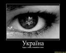 Олег Цапів фотография #1