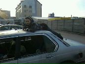 Фотография Витальевны Эльмиры