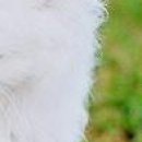 Леся Андреєва фотография #21 (источник - https://vk.com/id142723263)