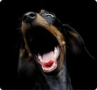 Фотография Коваленко Нины