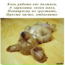 Віталіна Кальченко фотография #26 (источник - https://vk.com/id144253033)