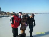 Слава Глебов фотография #35 (источник - https://vk.com/id1574595)