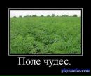 Андрій Гевді фотография #41 (источник - https://vk.com/id133498052)