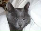 Фотография Виноградовой Надежды