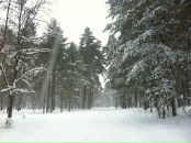 Фотография Чупрун Дины