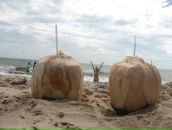 Фотография Живайкиной Светланы