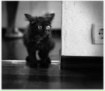 Фотография Пальминой Анастасии