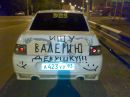 Фотография Чайки Степана