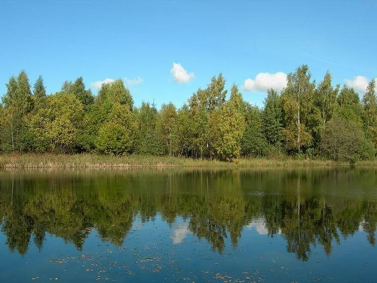 Сергей Дробышев фотография #5