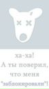 Аліна Івершень фотография #5 (источник - https://vk.com/id148122923)