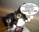 Аріяночка Кіцак фотография #29 (источник - https://vk.com/id164953847)