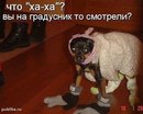Андріана Олійник фотография #23 (источник - https://vk.com/id162009162)