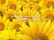 Фотография Heckmann Swetlana