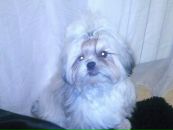 Фотография Сибсвэл Светланы Викторовны