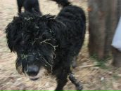 Фотография Ионова Павла