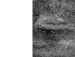 Єлизавета Ляшук фотография #14 (источник - https://vk.com/id134011305)