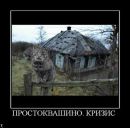 Игорь Темник фотография #35 (источник - https://vk.com/id96615668)