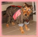 Фотография Воротынцева Петра