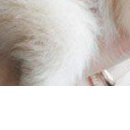 Надя Бабійчук фотография #19 (источник - https://vk.com/id147804112)