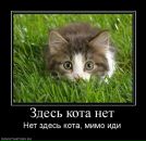 Фотография Шушунова Дениса