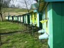Іван Мигович фотография #35 (источник - https://vk.com/id53472381)