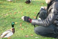 Иван Сычев фотография #39 (источник - https://vk.com/id37324857)