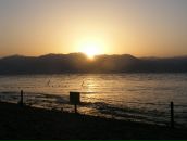 Дмитрий А фотография #9 (источник - https://vk.com/id23463017)