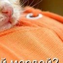 Діма Стоцький фотография #41 (источник - https://vk.com/id78186447)