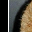 Ірина Пасічник фотография #33 (источник - https://vk.com/id89136098)