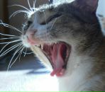 Фотография Bot Trader