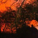 Карына Шевченко фотография #41 (источник - https://vk.com/id123790879)