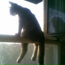 Фотография Шушкевича Станислава