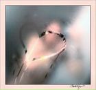 Фотография Мальцевой Александры