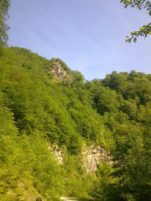 Дмитрий Туркевич фотография #23