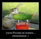 Фотография Ловцовой Ольги