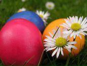 Вероніка Шиманська фотография #7 (источник - https://vk.com/id58302660)