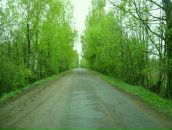 Алесь Войніч фотография #33 (источник - https://vk.com/id6149038)