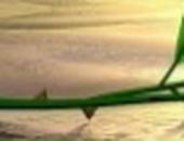 Дарья Сергеевна фотография #5 (источник - https://vk.com/id45900321)