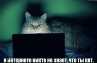 Фотография Красненко Андрея