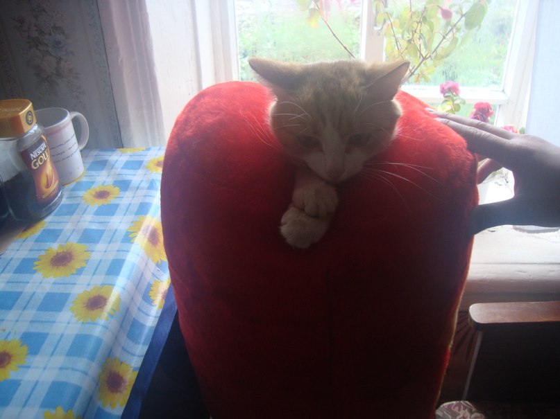 Дима Минин фотография #41