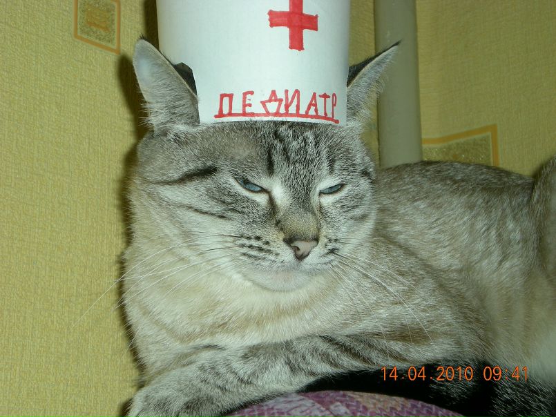 Егор Орлов фото №3