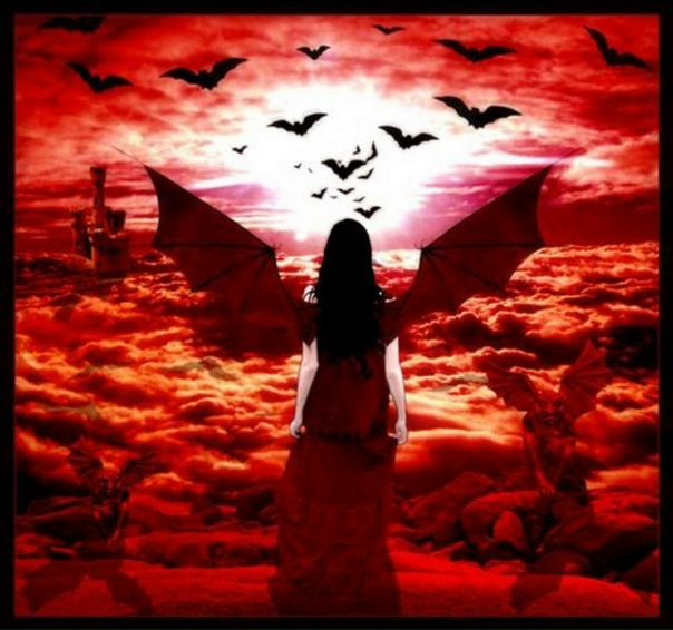 №10, Снежана Мездрина №10, Снежана Мездрина