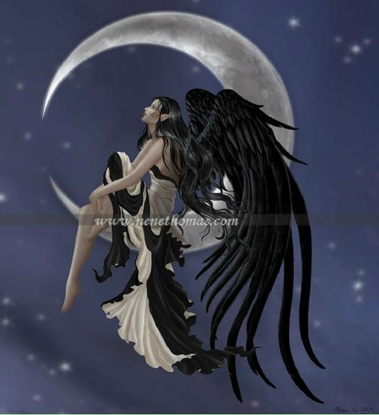 №17, Снежана Мездрина №17, Снежана Мездрина