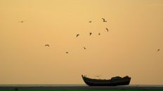 Дина Лебедева фотография #32 (источник - https://vk.com/id651702)